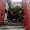 vanzky33