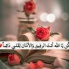 user25580929