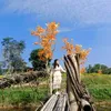 tambinh0604