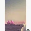 hamzaalshammari259