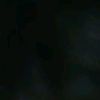 vhieaa_