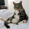 thatpurrrsun