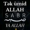 yalan.dunya5044