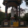 chinhvo60