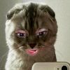 depptrhd