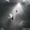 darksistm_