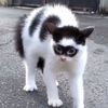 yupyap04_