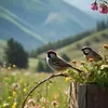 kurdistoni
