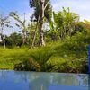 warini_0789