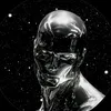 igr_tz