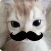 minhhhh_84