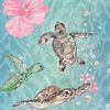 little_sea_turtle