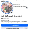 Cây Giống Hải Dương