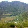 syedabdulhaq01