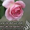 noor_0902