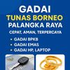 gadaitunasborneo_pky