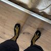vladnita7