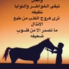 mohd112233awad