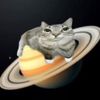 poopsiekins_