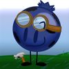 your_favorite_blueberry
