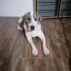 _marial91