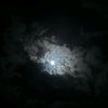 moonleik1