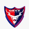 Onyx Security Services pvt ltd