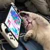 katie.xinhiu_