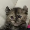 mmintchoc.lv