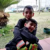 crigino