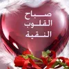 user640201022