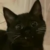 kse___ko