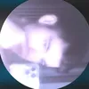 richvirus728