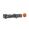 __zjem.ci.psa