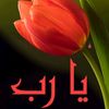 ahmed1122115