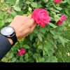 rifaqat_shah786