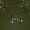 lilz44_
