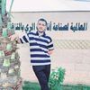 4247.mohammed