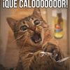 baloo059