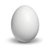 mr.egg_12