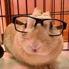 sammy_w42