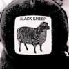 joeyblacksheep