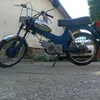 nemanjapetrovic39