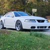 shawncraig37