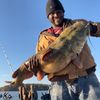 catfishingdad2020