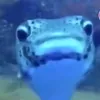fishydragond3de