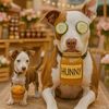pupbakeryy