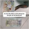 user4316955150695