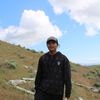 roy_stahi07
