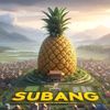 barudaksunda2